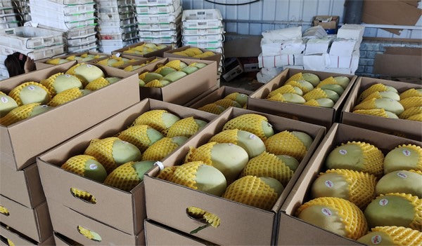 TWO (10 KG) BOX TOTAL (20KG) DISCOUNT (500)
