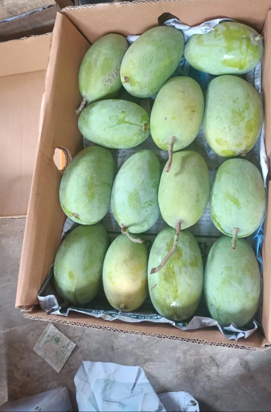 TWO GIFT BOX 5 KG ( TOTAL 10 KG) KING CHAUNSA ( 500 DISCOUNT)