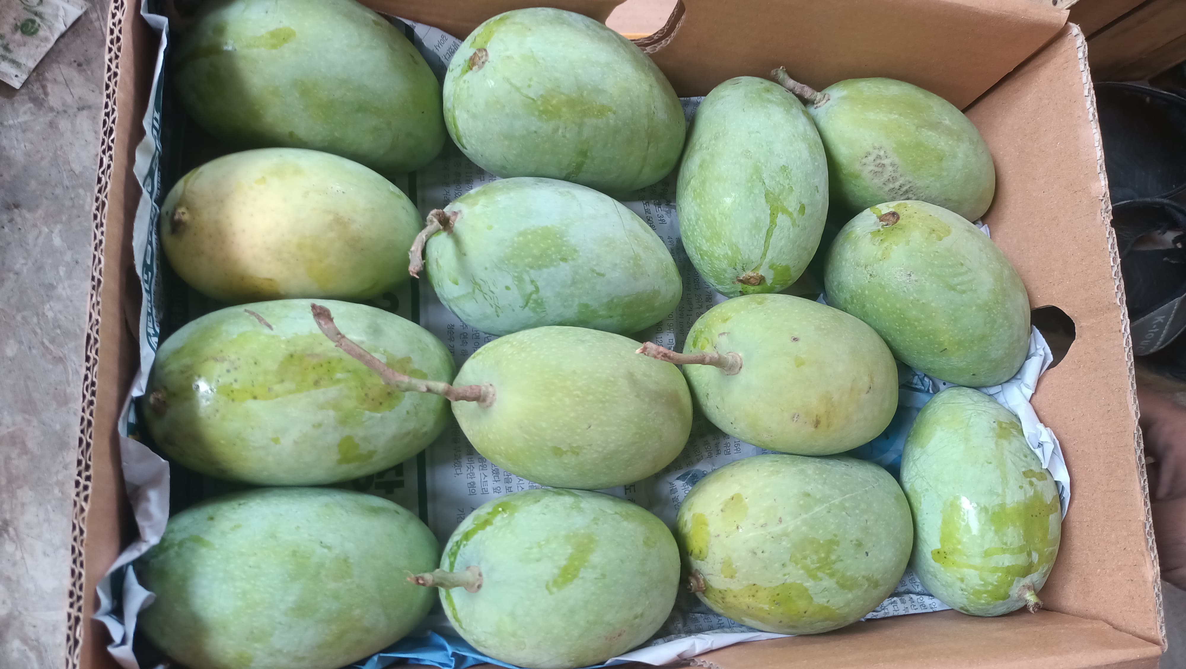 TWO (10 KG) BOX TOTAL (20KG) DISCOUNT (500)